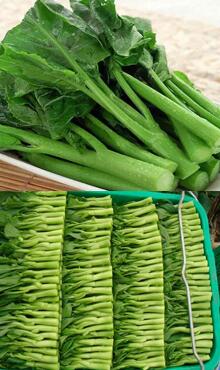 空心菜圖片細節(jié)