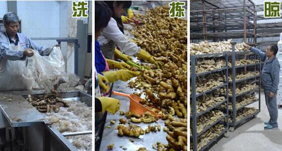 不用硫磺如何清洗生姜？